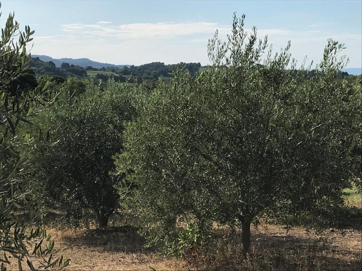 Gite au coeur du pays Cathare Verzeille Extérieur photo